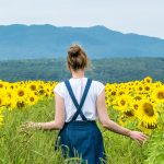 tournesol magog